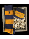Calcetines Azul y Amarillo Ravenclaw